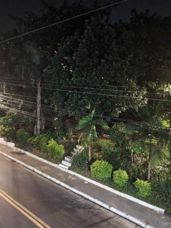 uma rua com árvores e plantas ao lado de uma estrada em Casa kitnet em Guarulhos