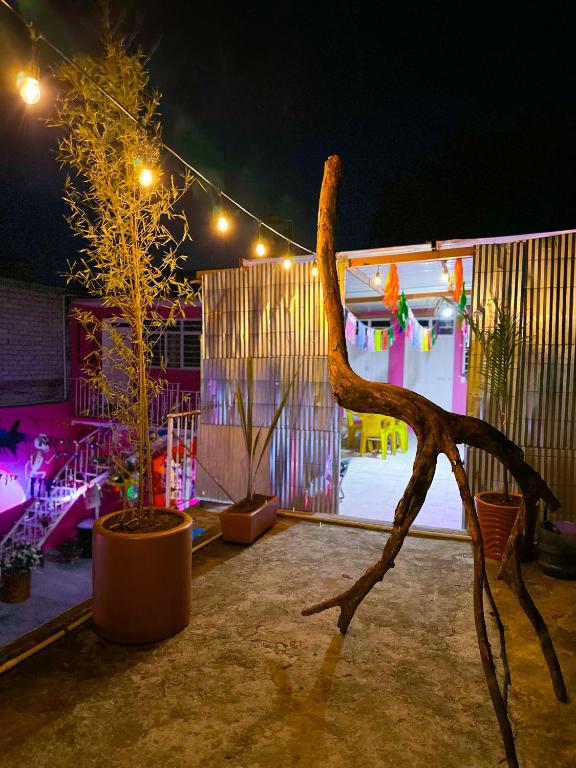 Mynd úr myndasafni af Casa Monarca í Oaxaca de Juárez