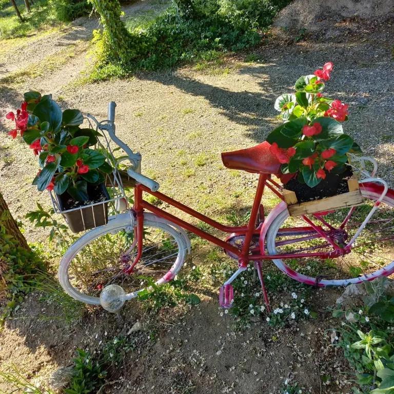 a bike with two potted plants on the ground at Apartman Potocki in Krapina