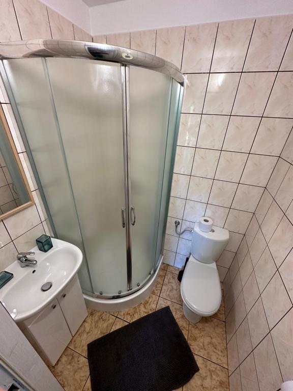 ein Bad mit einer Dusche, einem Waschbecken und einem WC in der Unterkunft Stasiówka Gospodarstwo Agroturystyczne in Gogołów