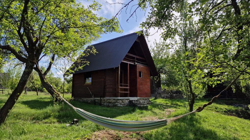 a hammock in front of a log cabin at Sătucul de Vacanță Brăduleț in Uleni