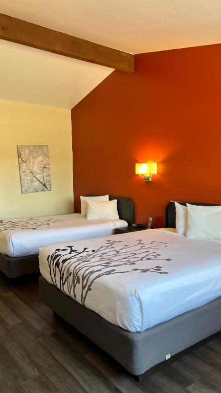 Black Canyon Motel - Salle De Reine