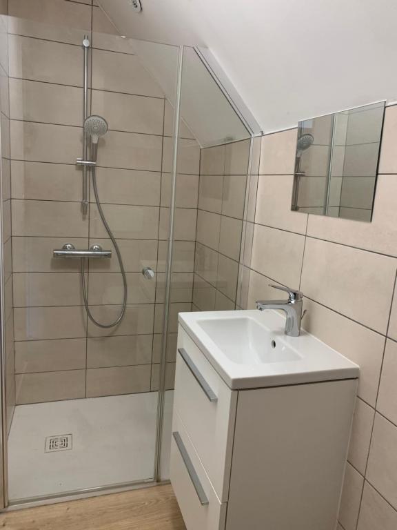 La salle de bains est pourvue d'une douche et d'un lavabo. dans l'établissement LE MARCEL appartement F1 de 24 m², à Choisey