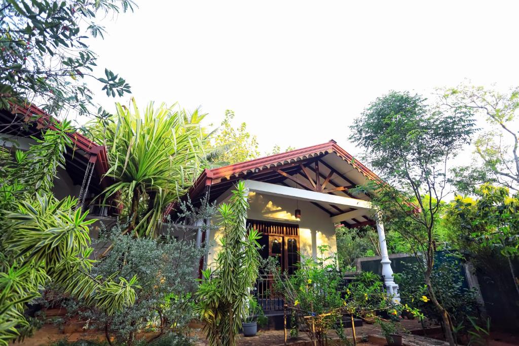 Zahrada ubytování Scenic Cottage Sigiriya