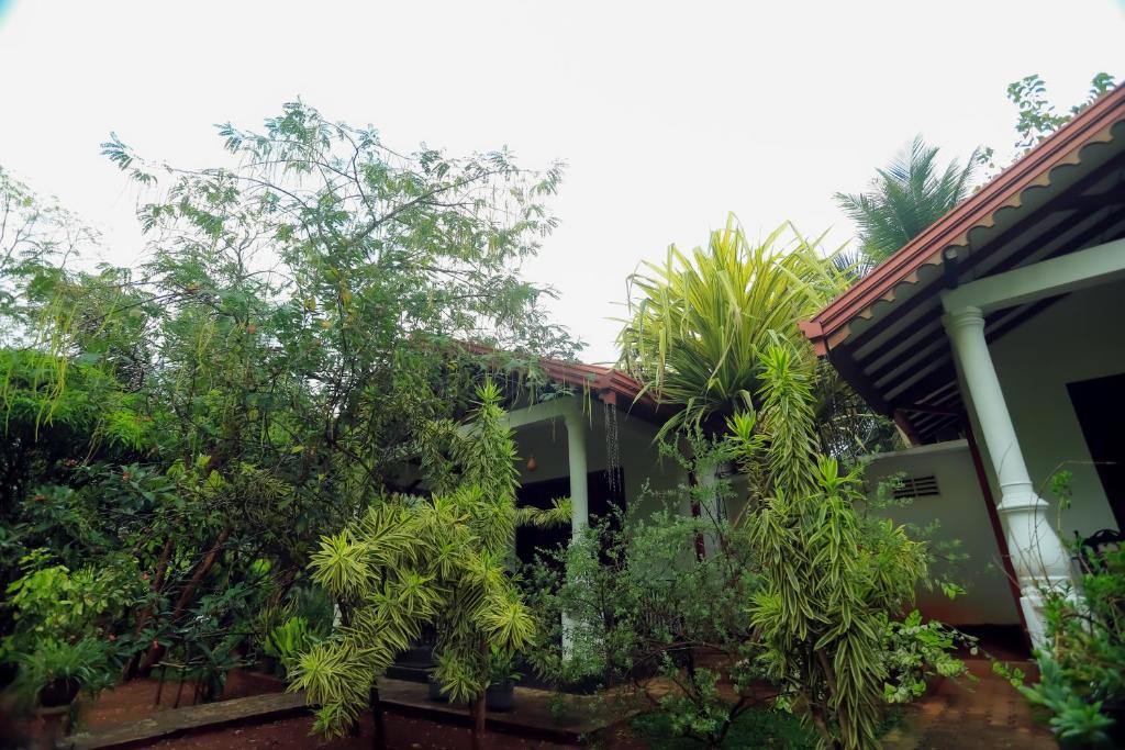 Zahrada ubytování Scenic Cottage Sigiriya