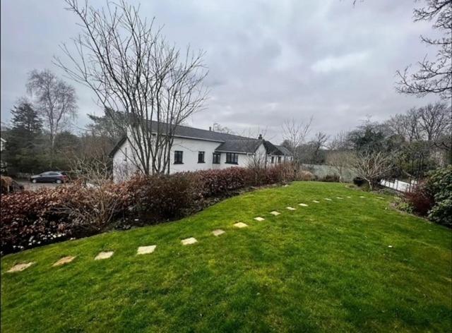 a yard with a house and a grassy field at Cosy cottage in peaceful location in Swansea
