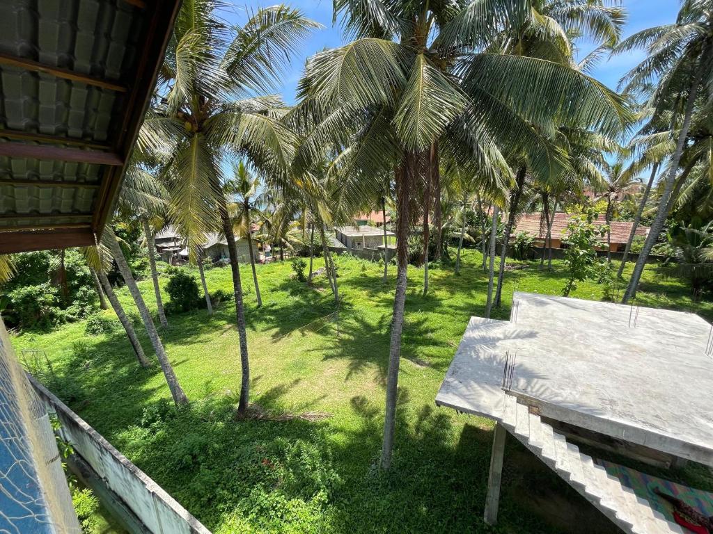 Zahrada ubytování Curly Hostel Negombo