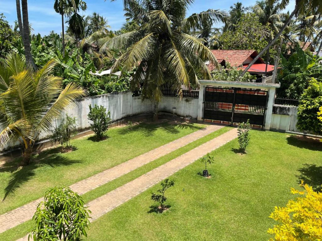 Zahrada ubytování Curly Hostel Negombo