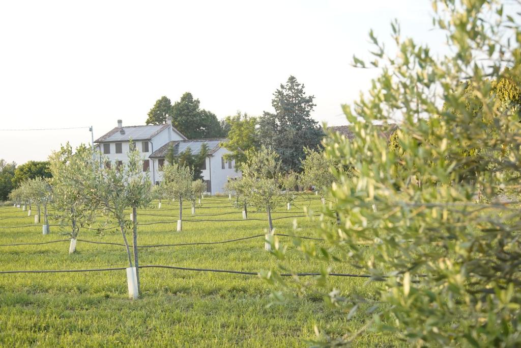 Κήπος έξω από το Casa di Alba - Alloggi turistici