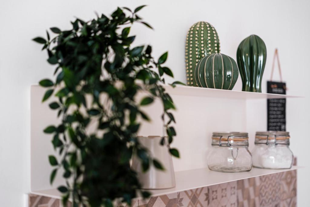 a shelf with a potted plant on it at Acquaterra in Polignano a Mare