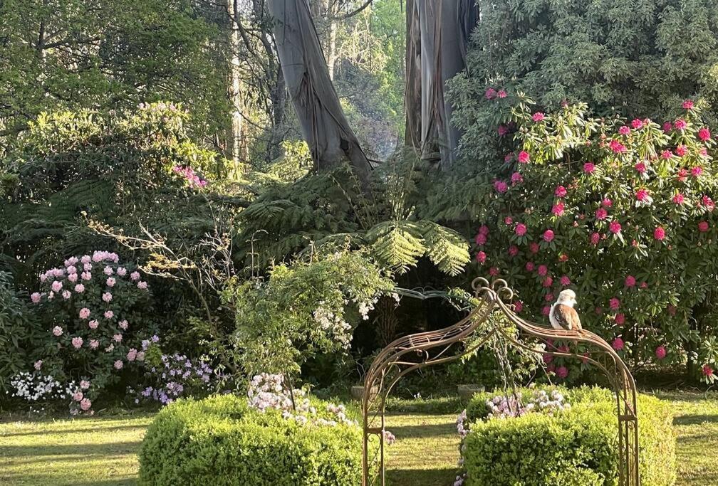 um banco num jardim com flores e plantas em A cozy villa among the nature em Mount Dandenong