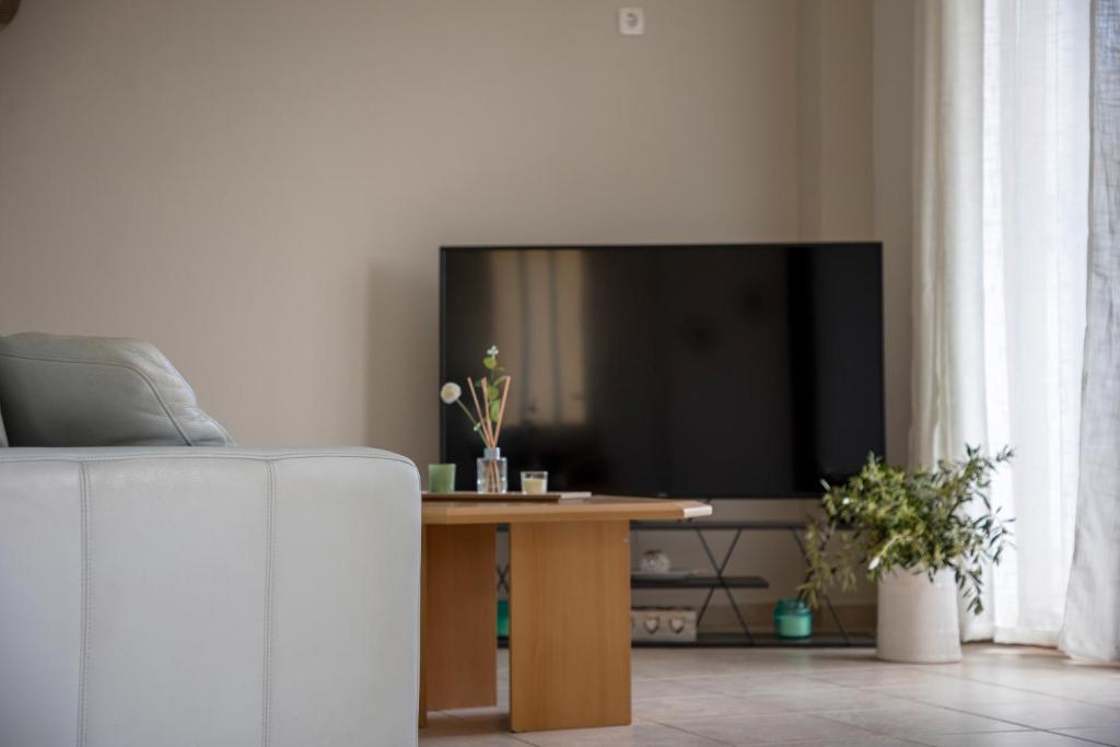 TV a/nebo společenská místnost v ubytování Anesis Apartments