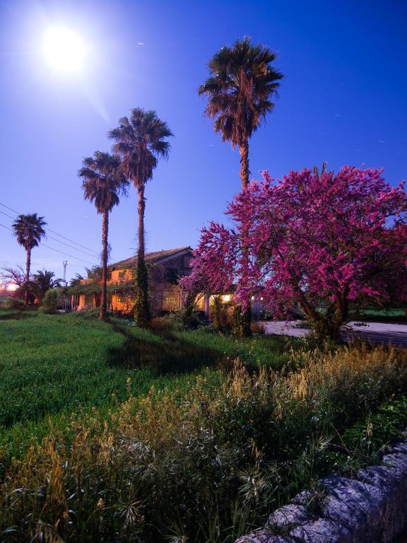 A garden outside Embat - Hostel