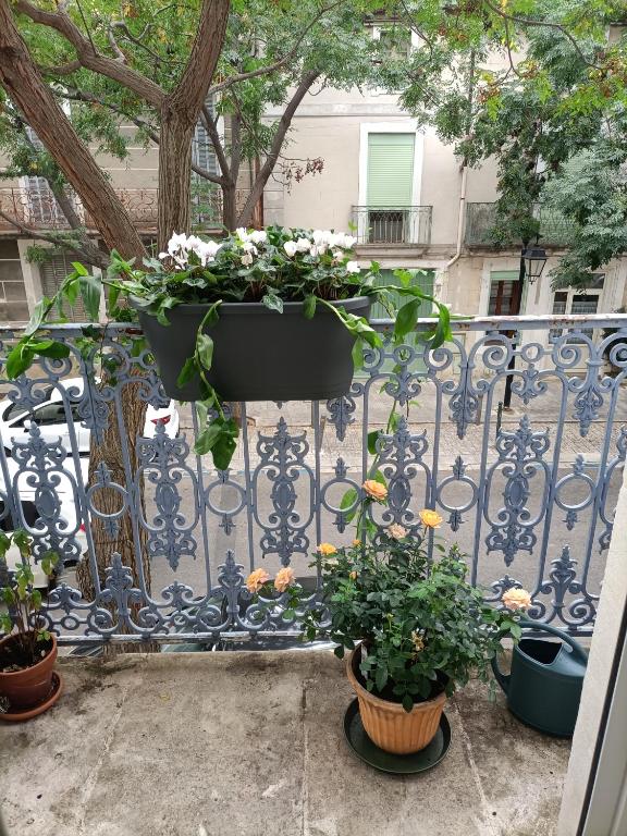 Balkón nebo terasa v ubytování A deux pas d'Avignon