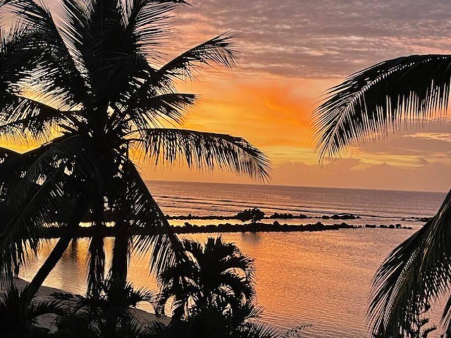 a palm tree on a beach with a sunset at Apartment with exceptional sea view in Trou aux Biches