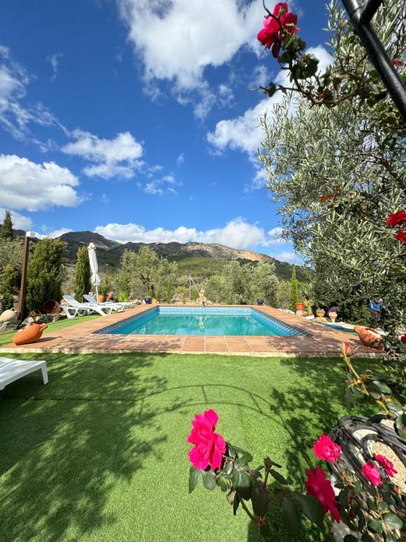 una piscina en un patio con flores en Villa El Pedregal - Parque Sierra de las Nieves, en Yunquera