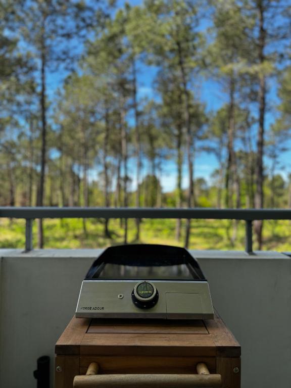 Fotografie z fotogalerie ubytování La Forêt des Pins - Free Check-In - Wifi - Parking Privé - Netflix - Draps & Serviettes inclus v destinaci Labenne