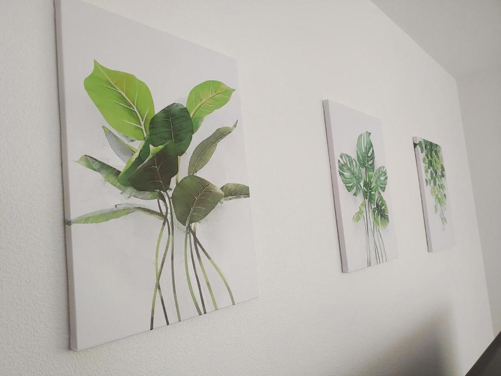 Фотография из галереи メゾンドオーク 新大久保 в Токио