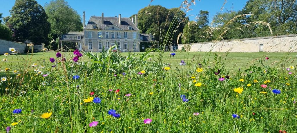 a field of flowers in front of a house at Chambres d'Hôtes Château de Martragny in Martragny