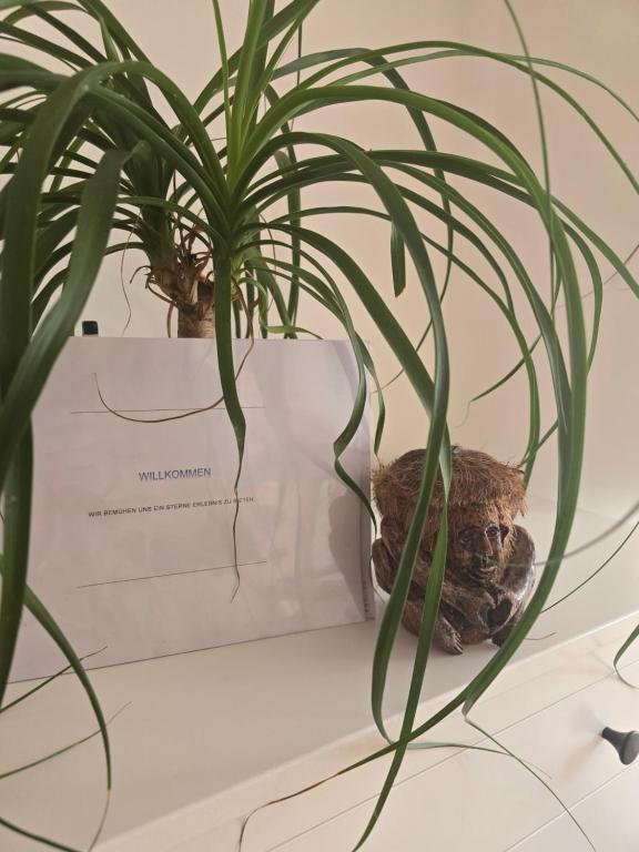 Domácí mazlíčci ubytovaní s hosty v ubytování Apartment inmitten der Stadt Leoben.