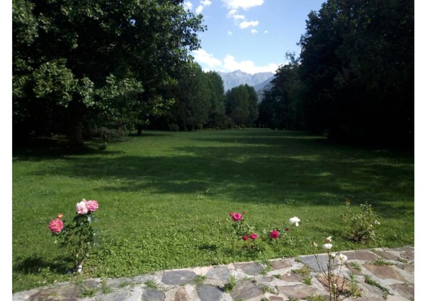 um campo de relva com flores no meio em La dépendance em Luchon