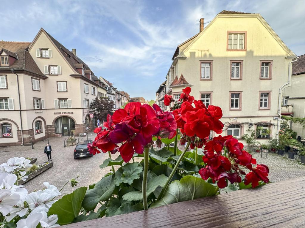 Origin'Alsace – photo 12