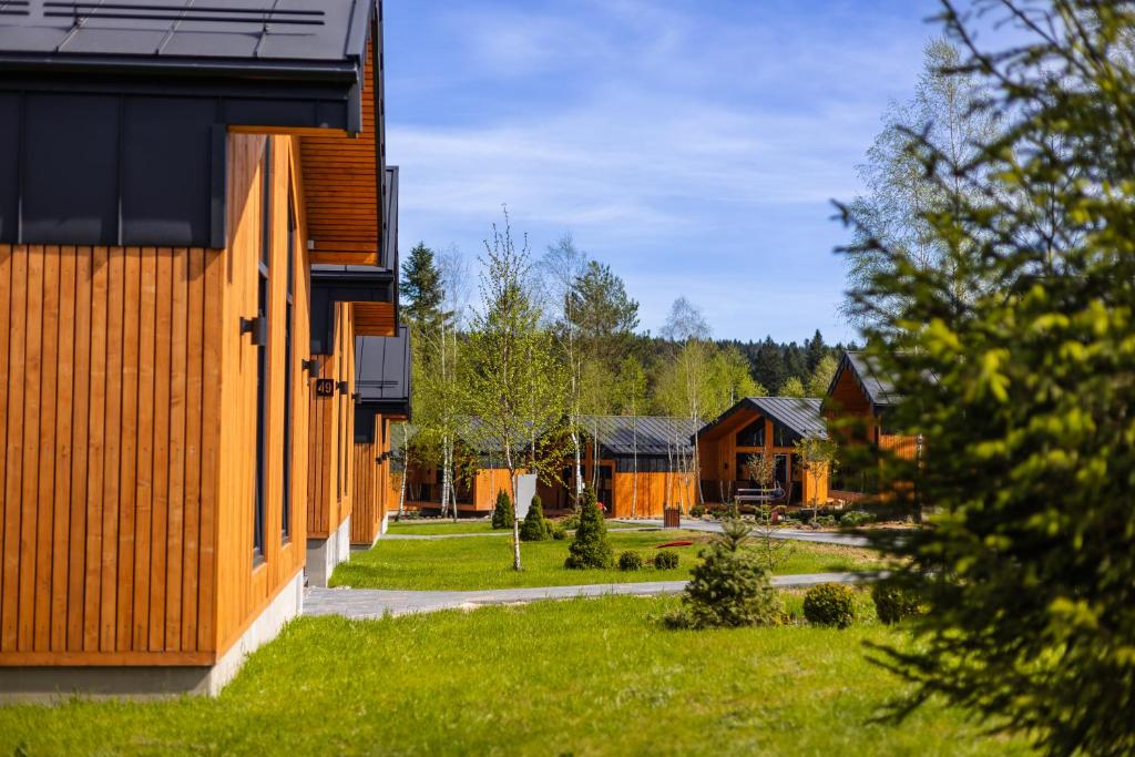 un groupe de bâtiments avec une cour et une maison dans l'établissement Phoenix Medical Resort, à Skhidnitsa