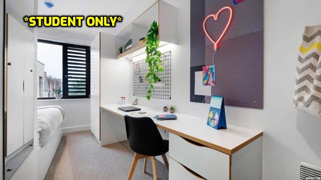 Student Only Zeni Ensuite Rooms, Colchester في كولشستر: غرفة نوم مع مكتب وغرفة مع سرير