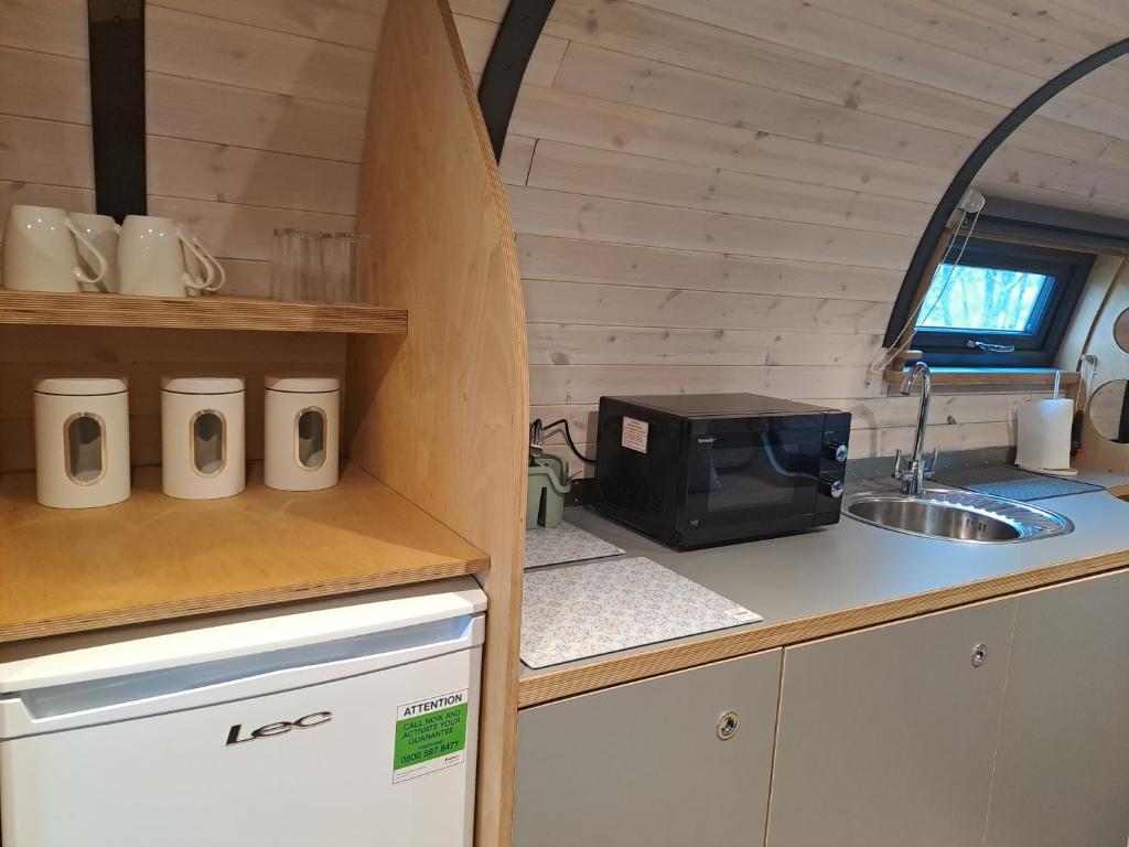 uma pequena cozinha com um micro-ondas e um lavatório em Celtic Minor Pods em Ystalyfera