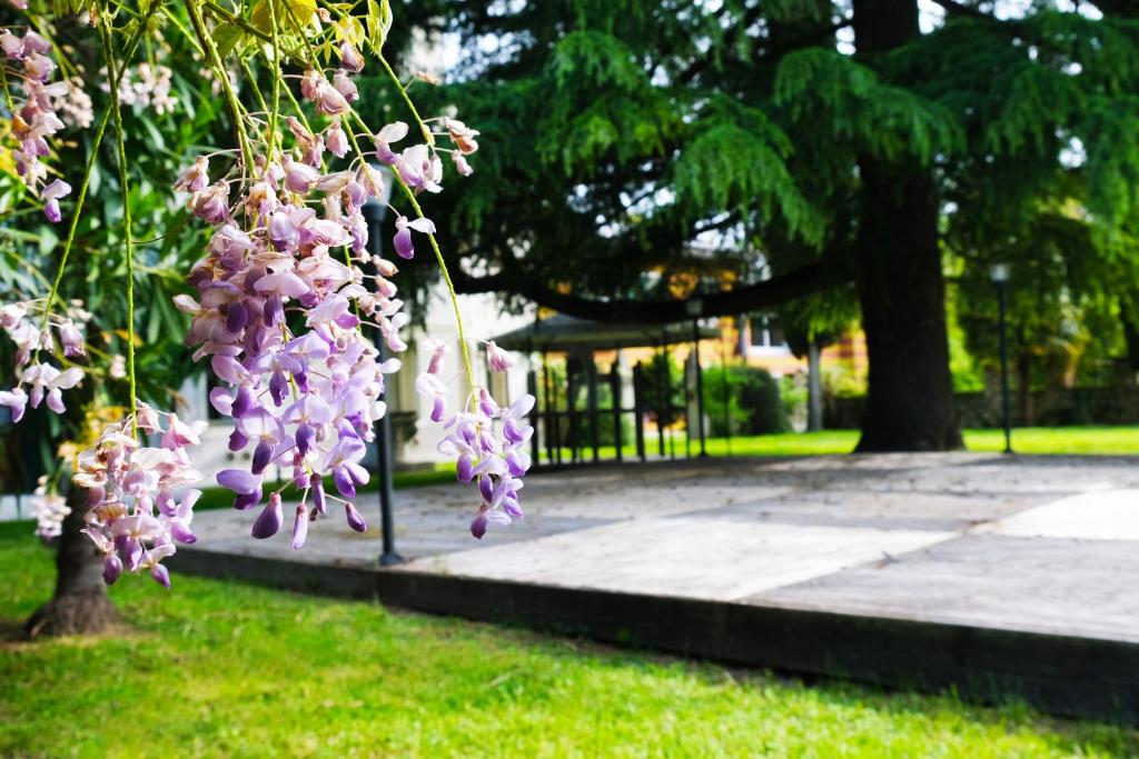 Zahrada ubytování Hotel Villa Ca Damiani