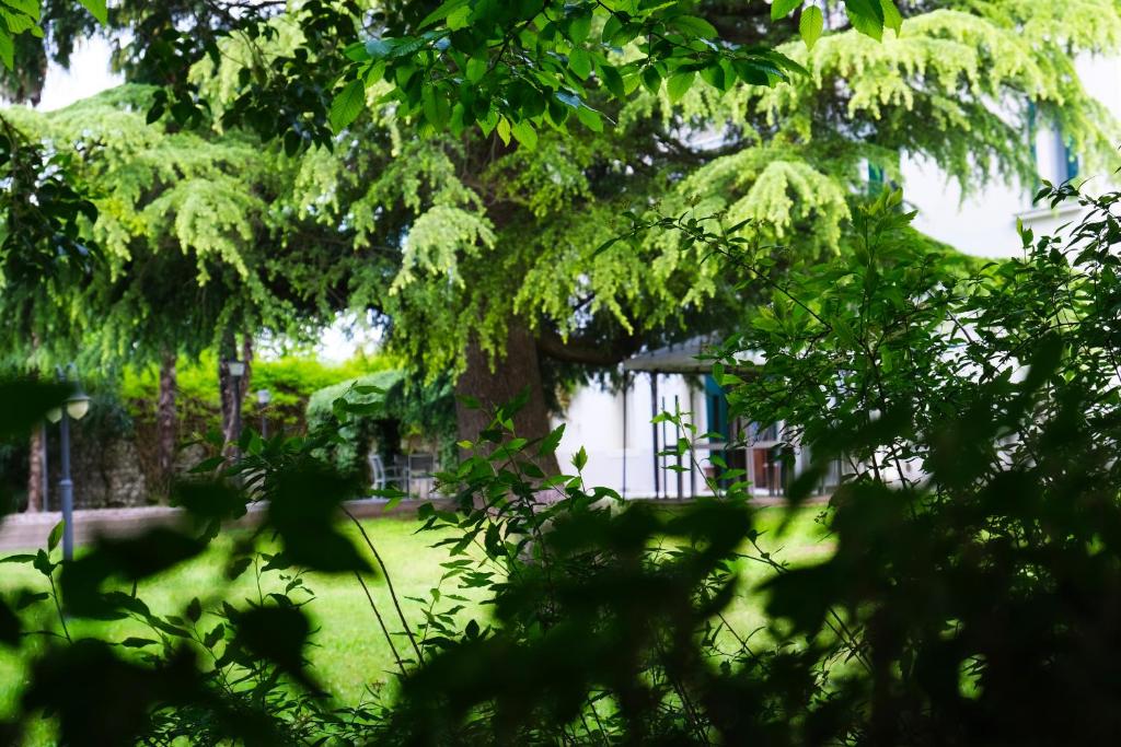 Zahrada ubytování Hotel Villa Ca Damiani