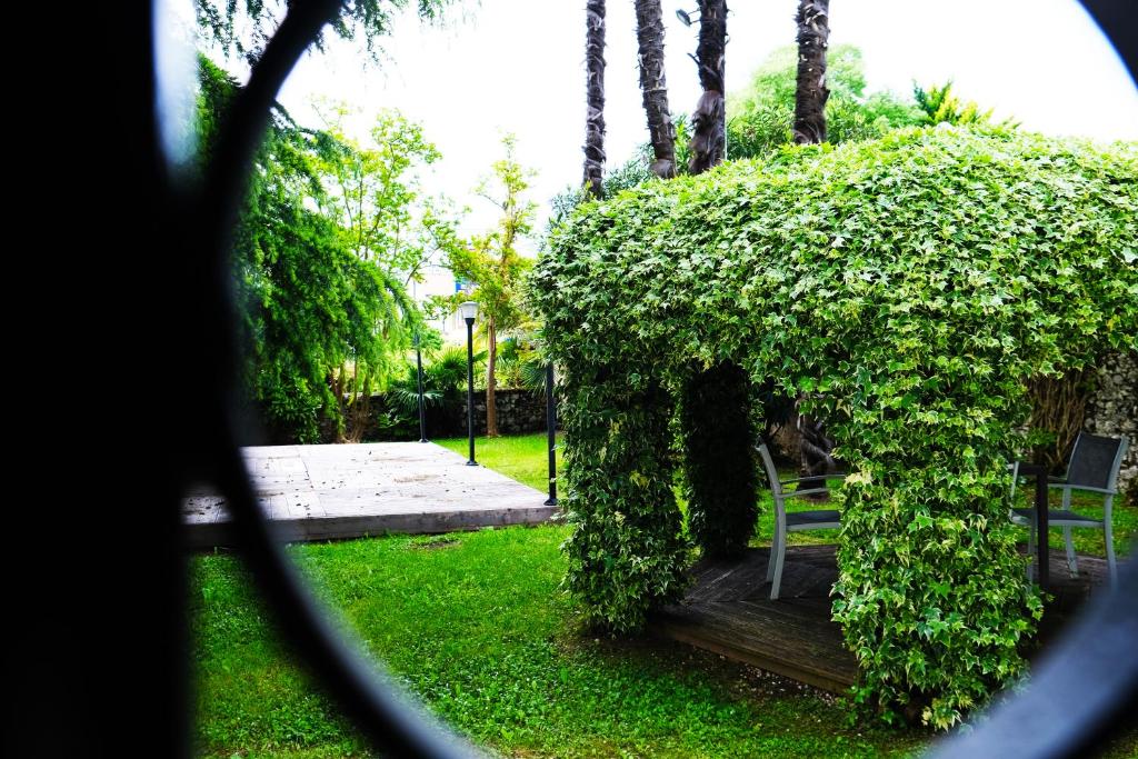 Zahrada ubytování Hotel Villa Ca Damiani