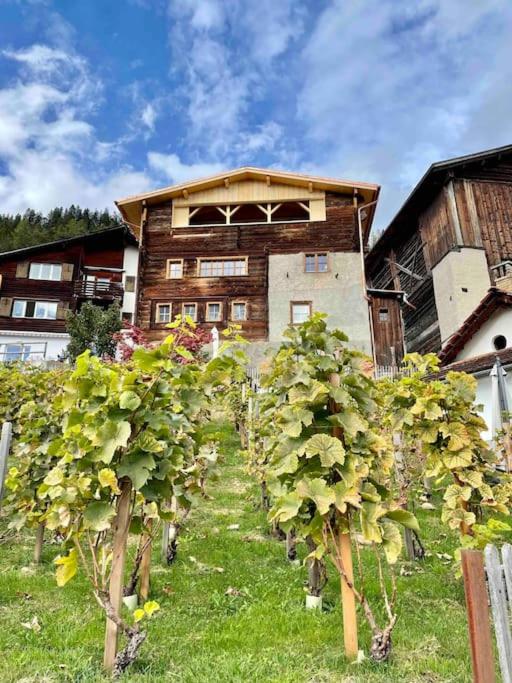 Zahrada ubytování Swiss chalet near Flims
