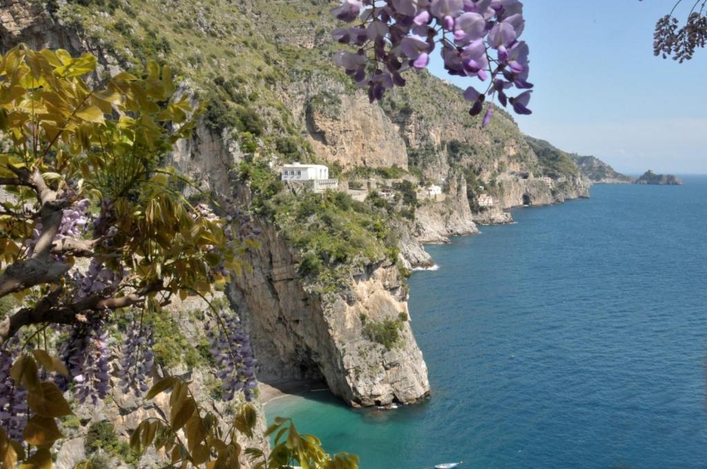 プライアーノにあるVilla Benedettaの水辺の紫色の花々が咲く崖