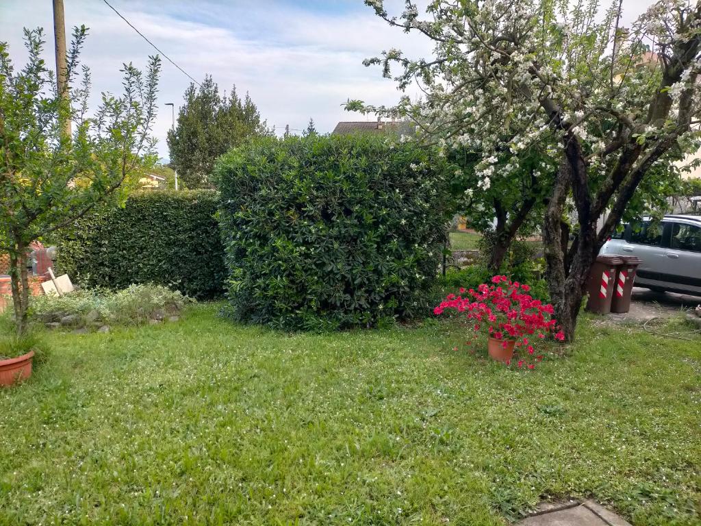 Zahrada ubytování CASA ELGA