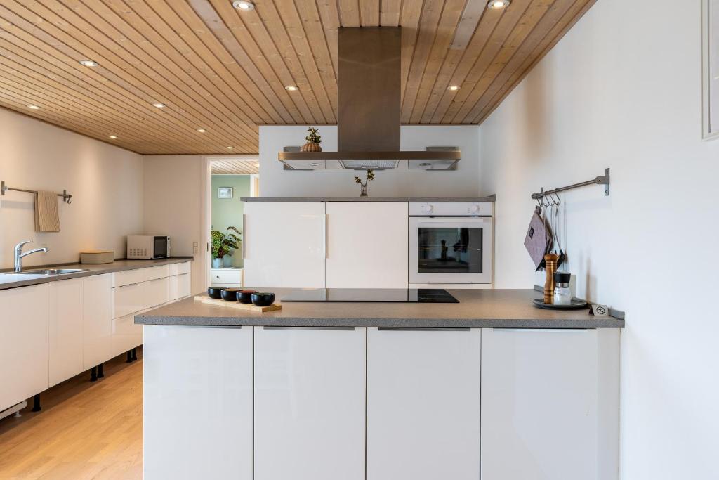Kuchyň nebo kuchyňský kout v ubytování Cozy Apartment Stevns