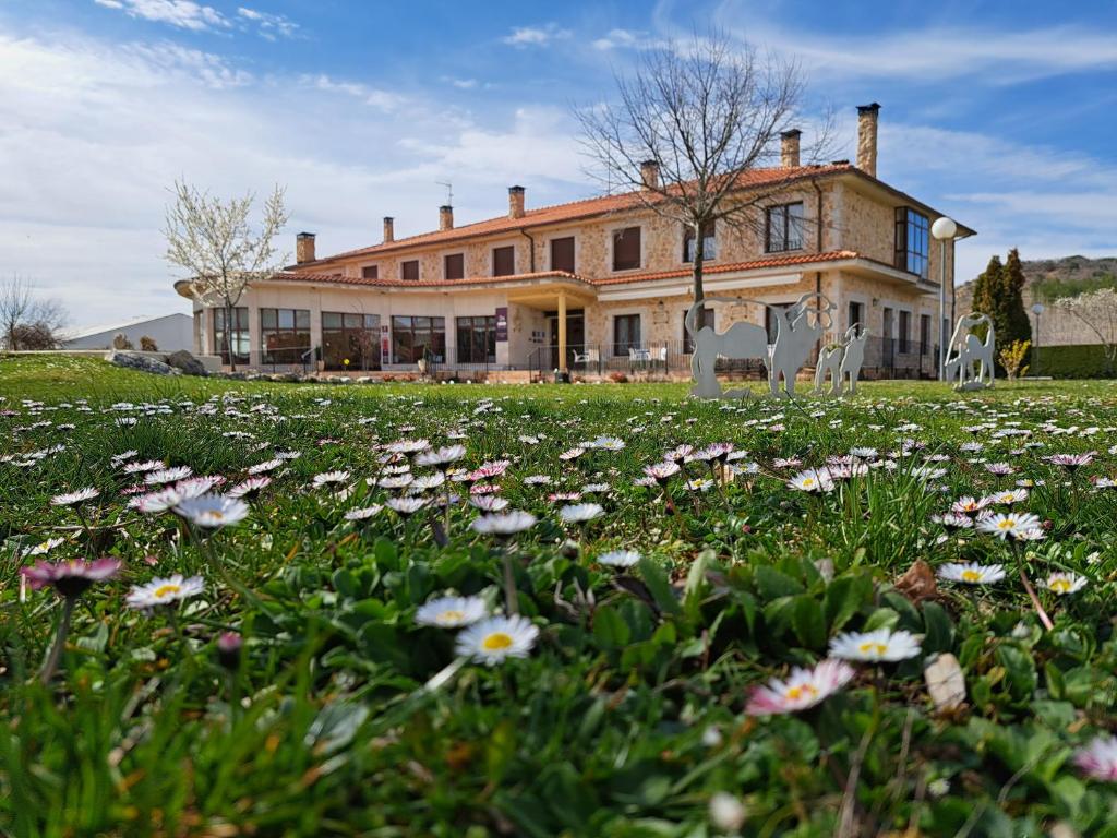 una casa con un campo de flores delante de ella en Prado de las merinas, en Caleruega