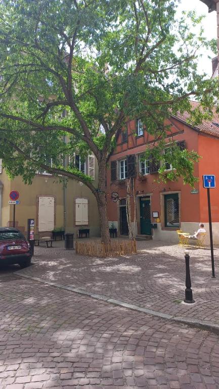 Le XVII - Au cœur de Colmar – photo 14