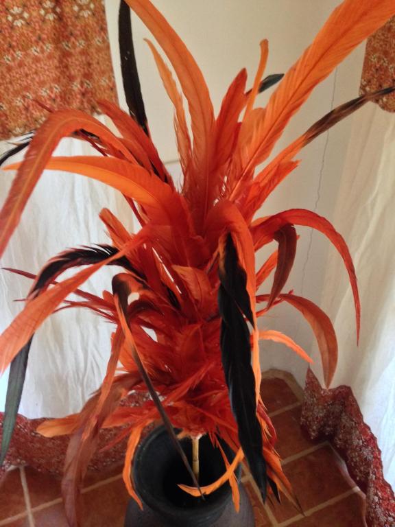 Nautilus Right on the Beach - Adult Only - SHA Extra Plus - 9