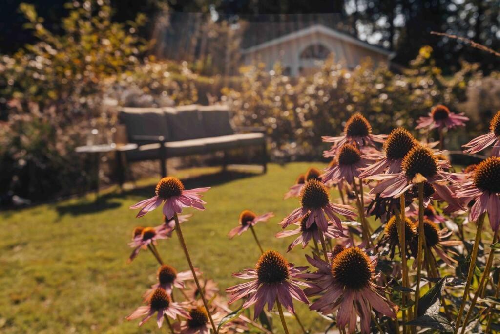 Un mazzo di fiori viola in un giardino con una panchina di Lille lykke I Tiny House op de Veluwe a Epe
