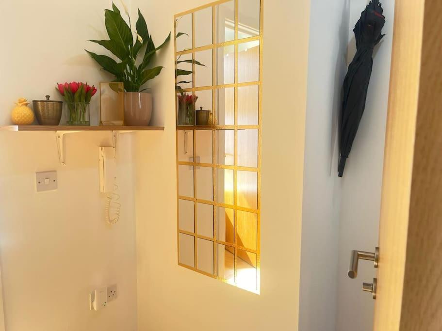 ロンドンにあるLuxurious - 1 Bedroom Flat, Finsbury Park Londonの鏡付きのバスルーム(植物、傘付)