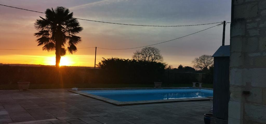a sunset with a palm tree and a swimming pool at Chambres d'hôtes des Princes de Bel Air in Loudun