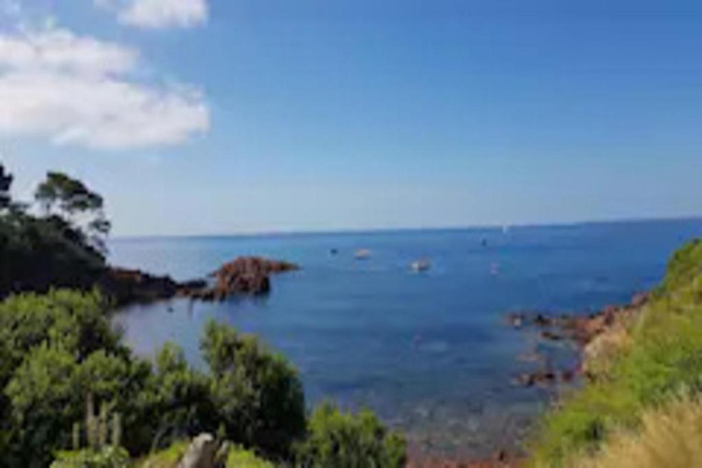 - une vue sur une étendue d'eau arborée dans l'établissement Appartement rénové - Le Cosy à 150m de la mer, à Saint-Raphaël