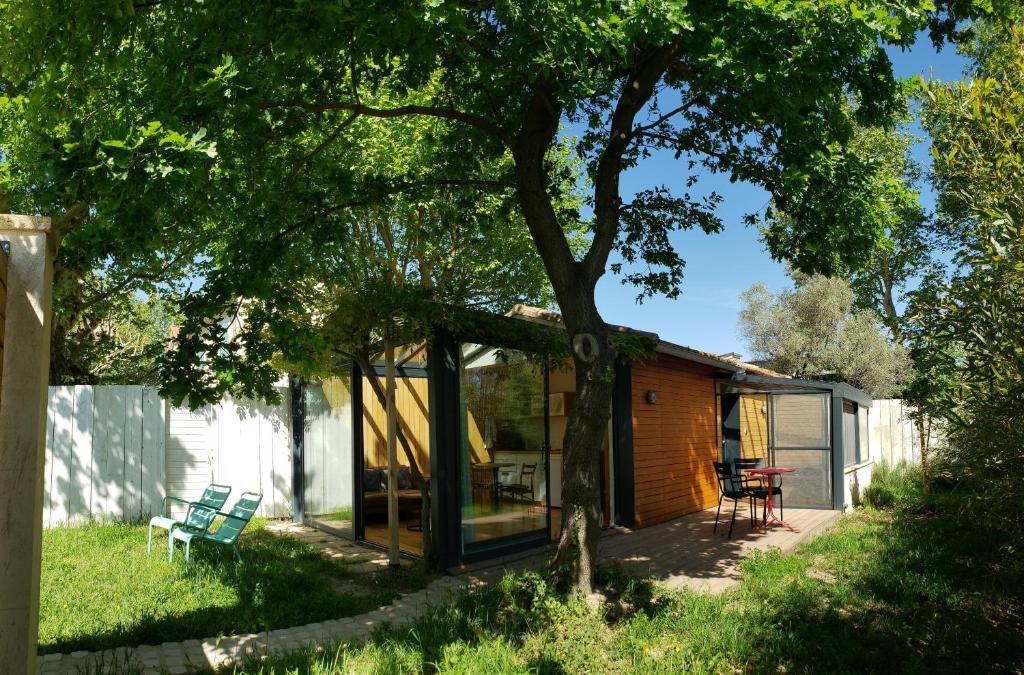 uma casa de vidro com uma árvore no quintal em Le mazet des amants, cabane en bois avec jacuzzi privatif em Avignon