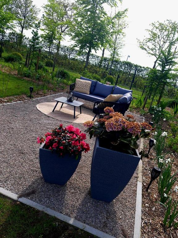 two large blue pots with flowers and a couch at De Weldoeninge in Wingene