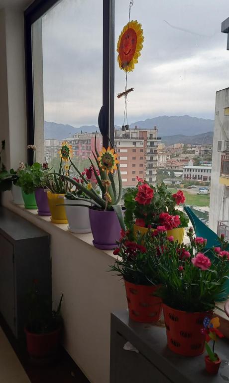 Fotografie z fotogalerie ubytování Panoramic apartment v destinaci Shkodër