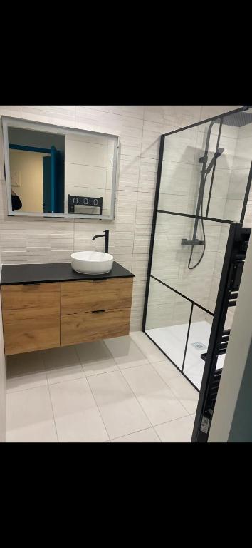 une salle de bain avec un lavabo et un miroir dans l'établissement Apparemment 2 pièces ensoleillé, à Cannes