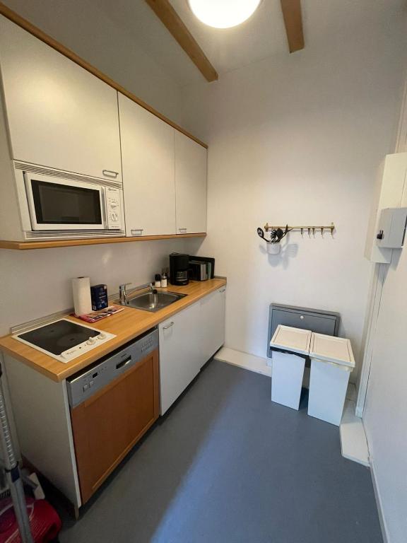 Kuchyň nebo kuchyňský kout v ubytování Zentral gelegenes Premium-Apartment mit viel Tageslicht