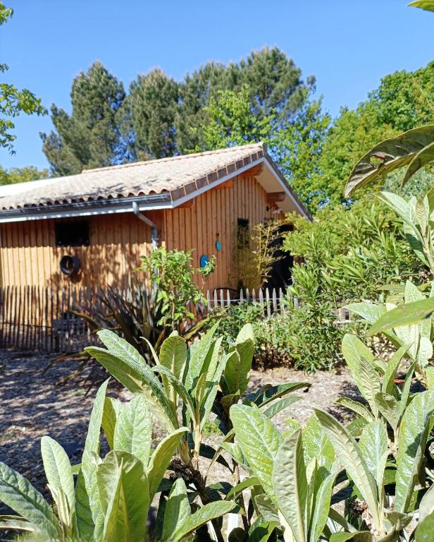 - un petit bâtiment en bois au milieu d'un jardin dans l'établissement Maison de vacances 2 chambres plages lac à 600m proche Dune du Pilat Océan dans propriété privée, à Sanguinet