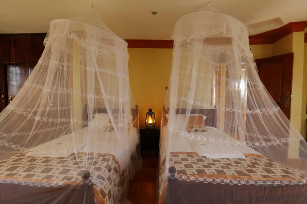 two beds covered with nets in a bedroom at Top of the World Lodges Fort Portal in Fort Portal